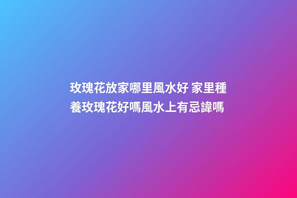 玫瑰花放家哪里風水好 家里種養玫瑰花好嗎風水上有忌諱嗎